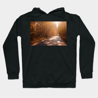 Morning Autumn Forest Hoodie